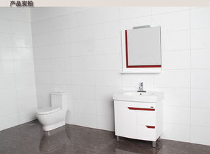 箭牌衛浴Arrow浴室柜PVCAP348 APG8L348 價格、圖片、參數全解析